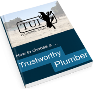 How to Choose a Trustworthy Plumber